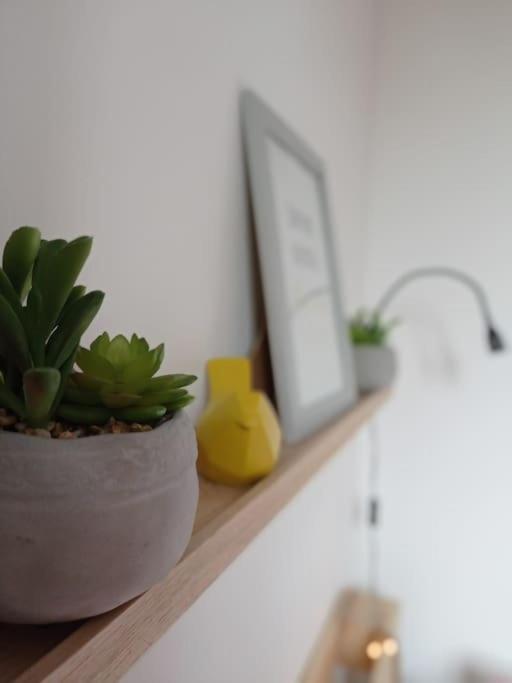 Little Bahia Apartment